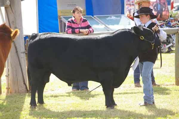 Thomas Ritchie with Allambie Aristocrat at Dubbo Show
